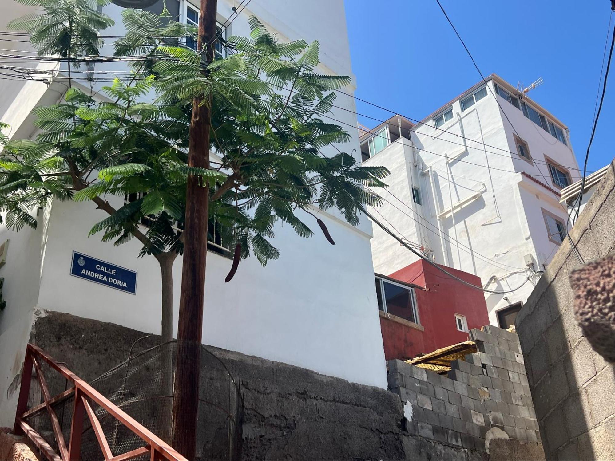 1 Person Studio - Casa Teresita Santa Cruz de Tenerife Exterior photo